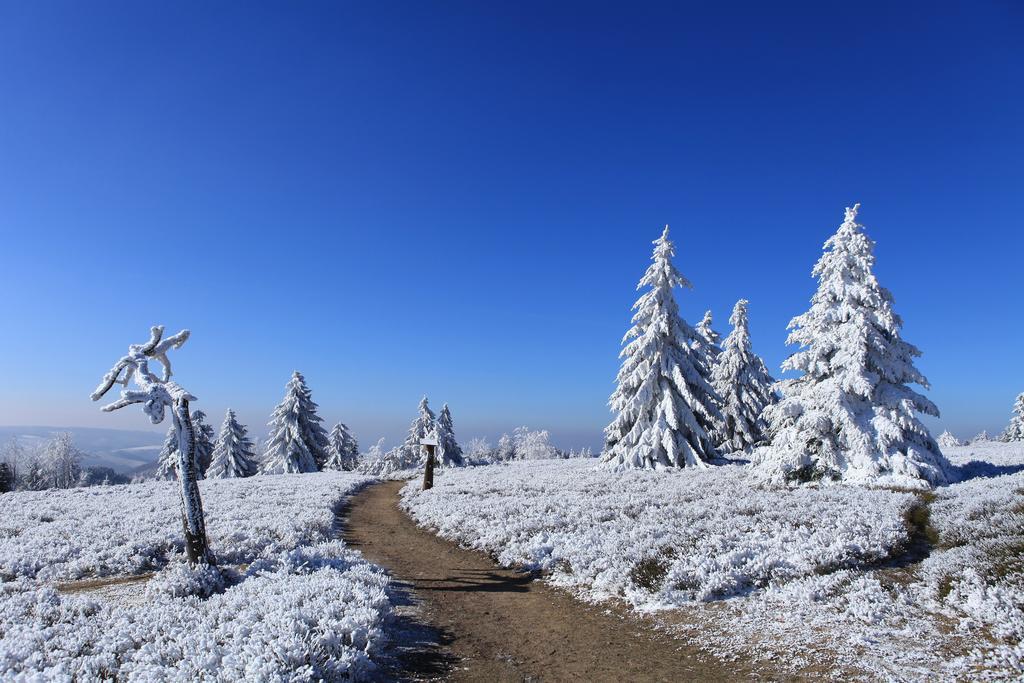 Hapimag Ferienwohnungen Winterberg Bagian luar foto